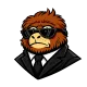 Solver villain avatar